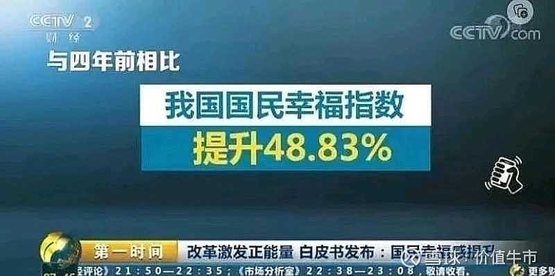 胡锡进评论