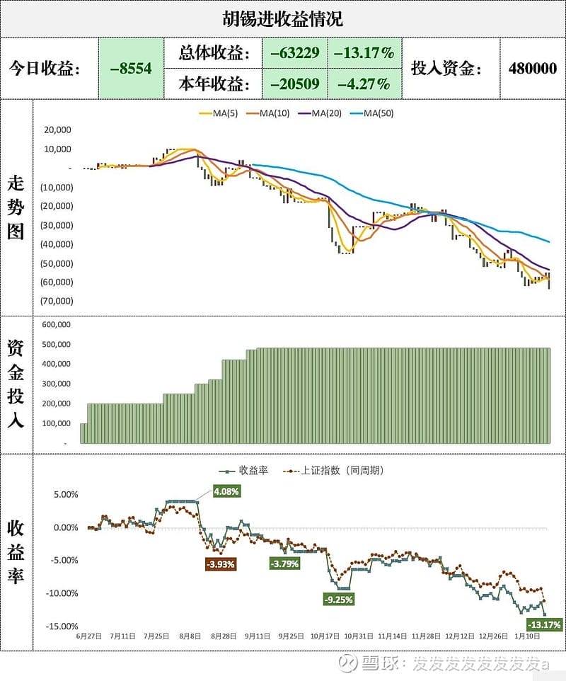 胡锡进收益