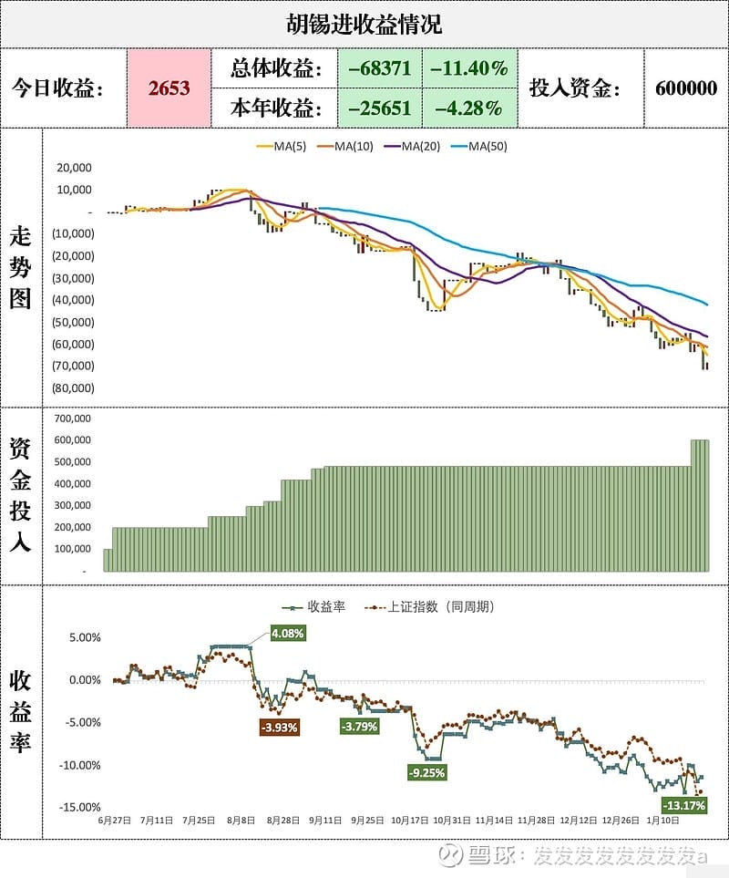 胡锡进收益