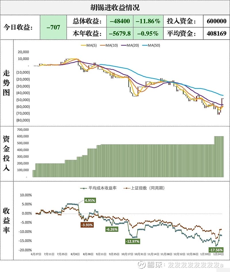 胡锡进评论